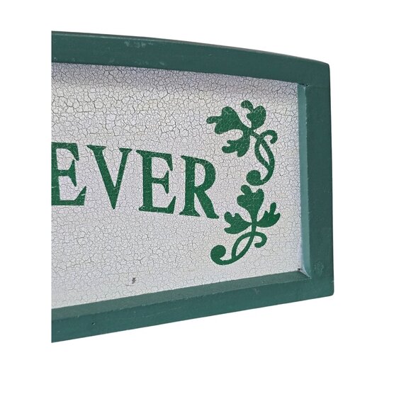 Families Are Forever Decorative Wooden Wall Plaque Green - Picture 6 of 10
